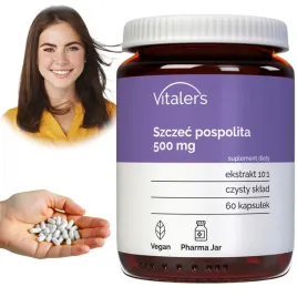 szczec-pospolita-ekstrakt-500-mg-vitaler-s-teasel-root-borelioza-60-kaps