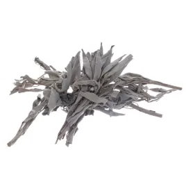 bilovit-szalwia-biala-w-lisciach-do-medytacji-oczyszczania-przestrzeni-50g