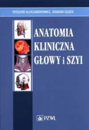 anatomia-kliniczna-glowy-i-szyi