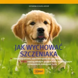 jak-wychowac-szczeniaka