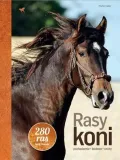 rasy-koni