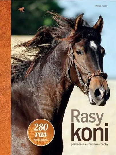 rasy-koni