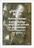 saksofonowy-kalejdoskop-na-saksofon-altowy