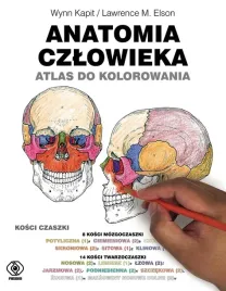 anatomia-czlowieka-atlas-do-kolorowania