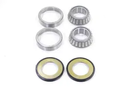 zestaw-lozysk-glowki-ramy-30x55x17mm-do-suzuki-triumph-yamaha-rms