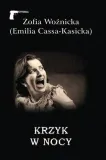 krzyk-w-nocy