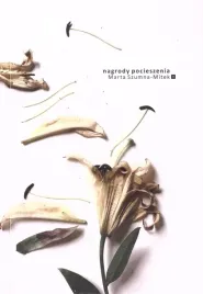 nagrody-pocieszenia