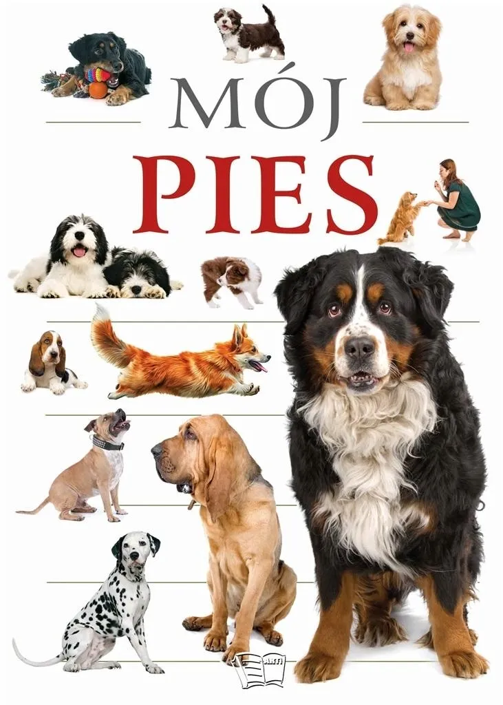 moj-pies