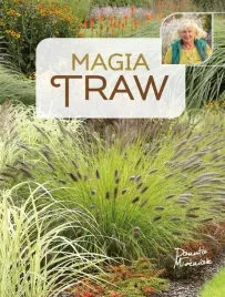 magia-traw
