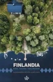 finlandia-sisu-sauna-i-salmiakki-w-2