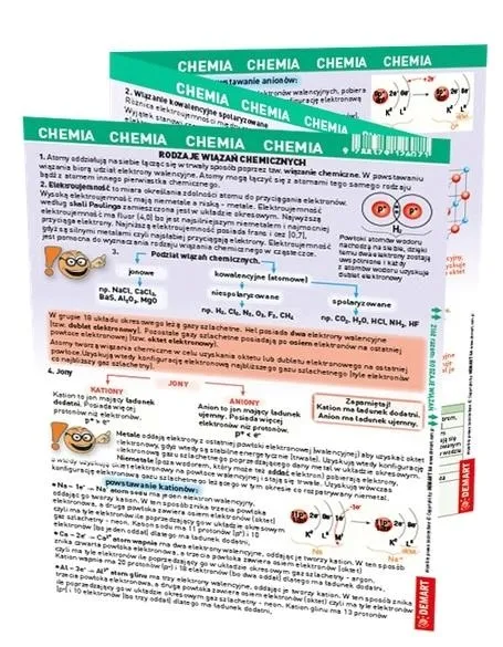 maxi-sciaga-chemia
