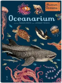 oceanarium-w-muzeum-loveday-trinick