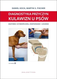 diagnostyka-przyczyn-kulawizn-u-psow-w-2