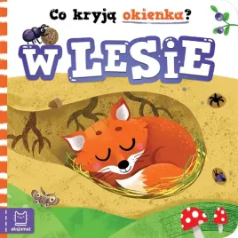 co-kryja-okienka-w-lesie