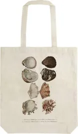 torba-bawelniana-stbag-51-muszle-szoperka-na-ramie