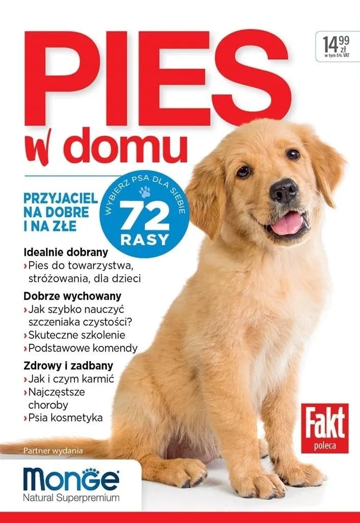 pies-w-domu