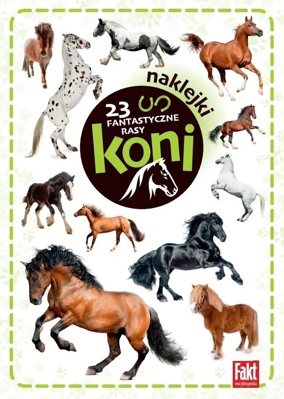 fakt-encyklopedia-4-2023