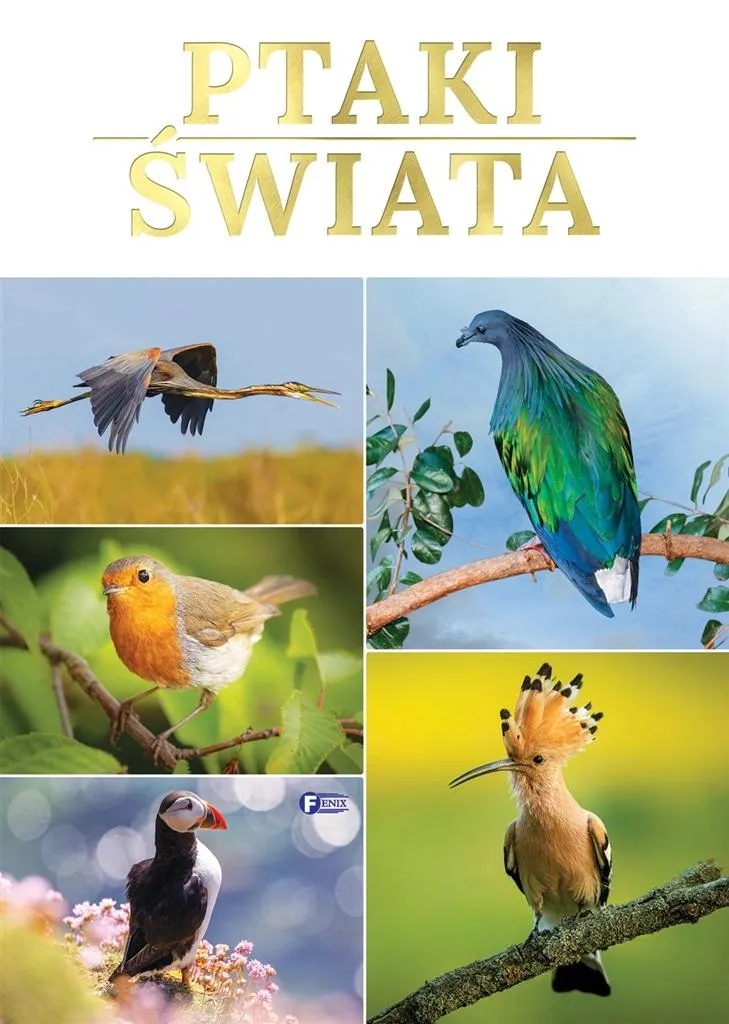 ptaki-swiata