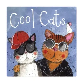 magnes-fm221-cool-cats