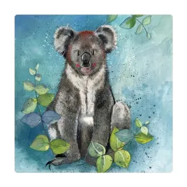 magnes-fm209-koala