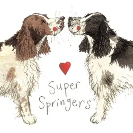 magnes-fm02-springer-spaniel