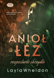 aniol-lez-t-3-rozpostarte-skrzydla
