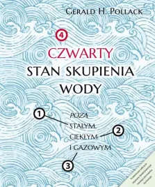 czwarty-stan-skupienia-wody