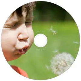 plyta-dvd-r-verbatim-wide-inkjet-printable-4-7gb-16x-25szt-43538
