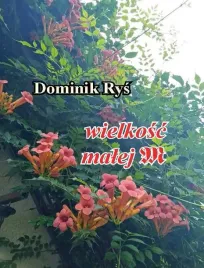 wielkosc-malej-m