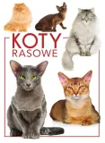 koty-rasowe