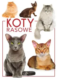 koty-rasowe