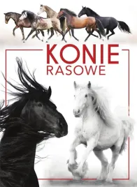 koty-rasowe