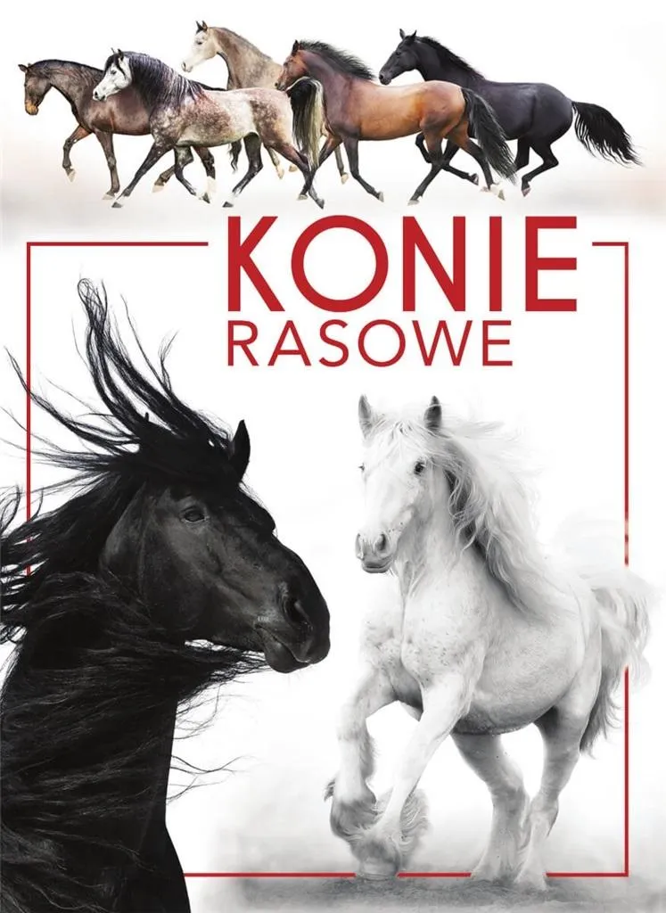 koty-rasowe