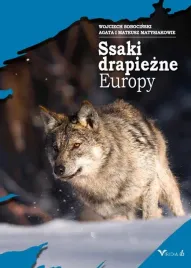 ssaki-drapiezne-europy