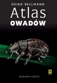atlas-owadow-w-6