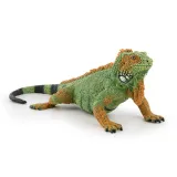 iguana