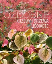 ozdobne-krzewy-i-drzewa-lisciaste