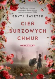 spacer-aleja-roz-t-1-cien-burzowych-chmur