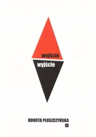 wejscie-wyjscie