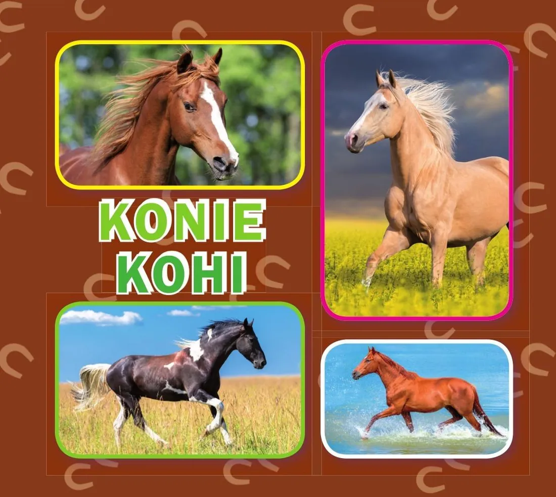 konie