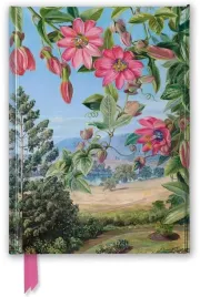 notatnik-a5-linia-tw-widok-w-ogrodzie-kew-gardens
