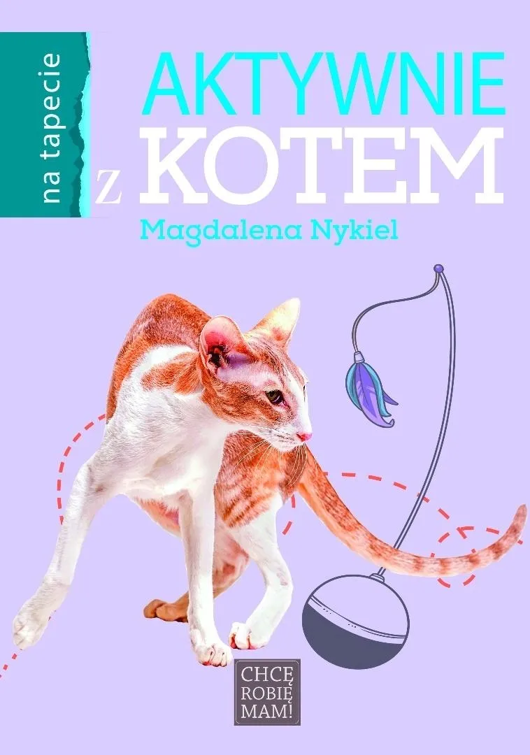 aktywnie-z-kotem