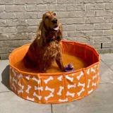 the-swim-essentials-basen-chlodzacy-dla-psa-80-cm-bonebash-orange-kod-producenta-2023se1383