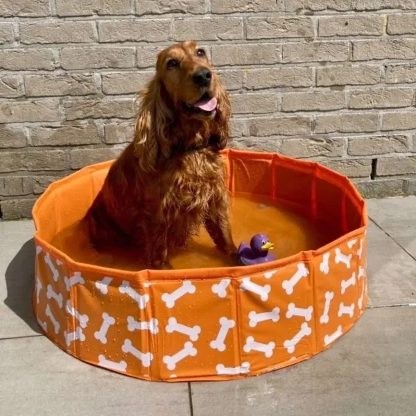 the-swim-essentials-basen-chlodzacy-dla-psa-80-cm-bonebash-orange