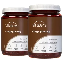 2x-vitaler-s-chaga-blyskoporek-podkorowy-500mg-adaptogen-trawienie-60-kaps