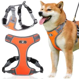 szelki-treningowe-spacerowe-dla-psa-astro-pomaranczowe-rozmiar-l