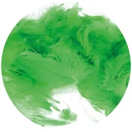 piorka-ozdobne-dekoracyjne-7-g-zielone-brewis