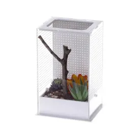terrarium-akrylowe-dla-modliszek-m-mantis-box-repti-zoo