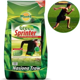 trawa-green-sprinter-szybki-zielony-trawnik-niski-wzrost-5kg-wyprzedaz