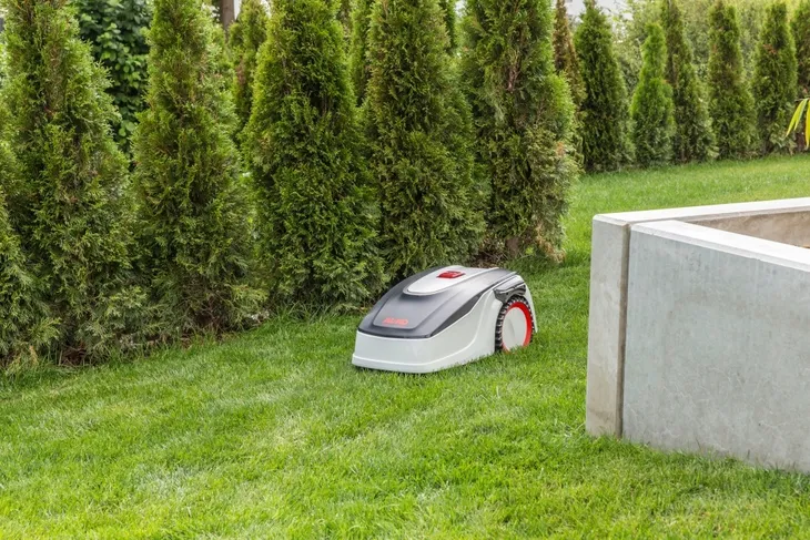 robot-koszacy-al-ko-robolinho-300-e-20-cm-seria-easy